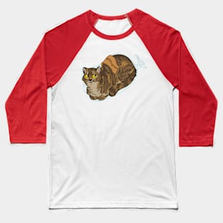 Catloaf: Multigrain (Tortie-tabby) Baseball T-Shirt